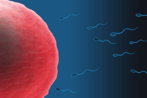 alergia na pertnera