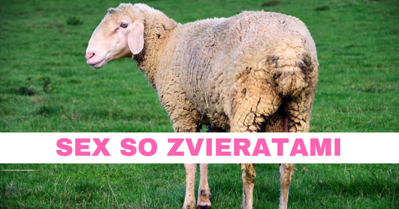 sex so zvieratami