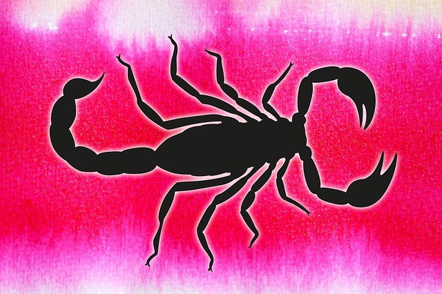 erotický horoskop žena škorpión