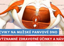 cviky na mužské panvové dno