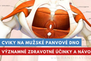 cviky na mužské panvové dno