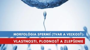 morfológia spermií